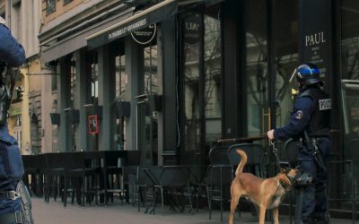 security-service-rank-img-bg